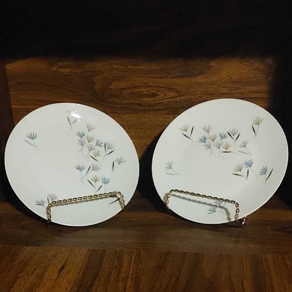 Rosenthal Floral Patterned Plates (2)